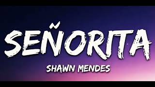 SenoritaCamilla CabelloftShawn Mendes [upl. by Irej]