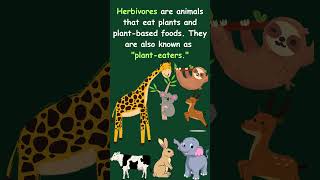 Understanding Herbivores Carnivores Omnivores trending education science foodscience animals [upl. by Rehpotsirk]