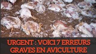 URGENT  VOICI 7 ERREURS GRAVES EN AVICULTURE [upl. by Lacey747]