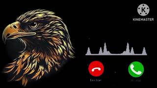 Insta new Eagle song  look in good BGM  ringtone cool  💯 [upl. by Amelina]