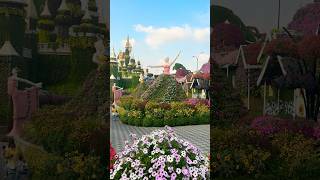 Miracle Garden 🇦🇪 miraclegardendubai foryou youtube dubai uae trending shortvideo family [upl. by Irehc902]