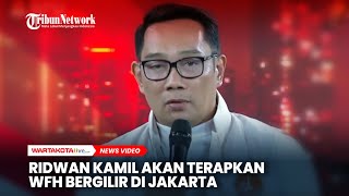 Ridwan Kamil Akan Terapkan WFH Bergilir di Jakarta [upl. by Enined824]