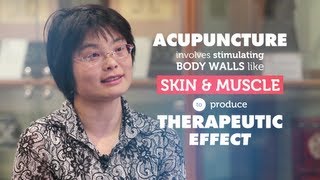 How does acupuncture work  RMIT University [upl. by Menides]