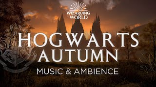 Autumn at Hogwarts  Harry Potter Hogwarts Legacy Music and Ambience [upl. by Nirej]