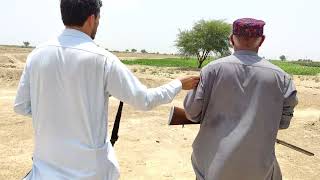 Dove shooting ka lahe chacha Mir Ahmed or Czn Khalil B Sath ha reels viralvideo birds video [upl. by Ahsiel843]