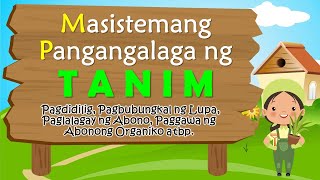 MASISTEMANG PANGANGALAGA NG TANIM PAGDIDILIG PAGBUBUNGKAL PAGLALAGAY NG ABONO PAGGAWA NG ABONO [upl. by Sherri]