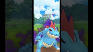 Shadow Feraligatr is a Deadly Closer in Ultra League 😱  Pokemon Go [upl. by Abbotsun509]