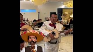 ¡Mariachis y Cholos El Mono de Alambre al estilo único [upl. by Helene]