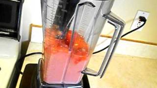 How to make sorbet in the Vitamix [upl. by Chenay806]