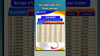 kur mikro BRI 2023 Tanpa jaminan shorts [upl. by Nagah]