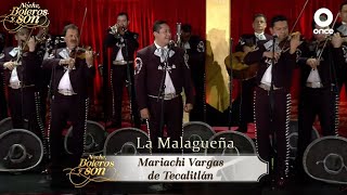 La Malagueña  Mariachi Vargas de Tecalitlán  Noche Boleros y Son [upl. by Mead806]