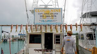 Huge Yellowtail Snapper  January Fishing Report [upl. by Robena]