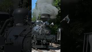 🚂 Shay 4  Cass Scenic Railroad quotParade Of Steamquot 🚂🚂🚂🚂 [upl. by Nehgam]