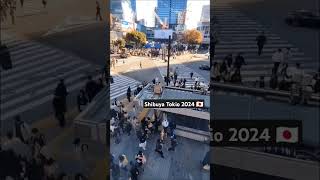 The biggest crosswalk in the world Shibuya Tokyo 2024 [upl. by Shifrah]