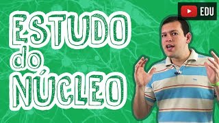 Biologia  Citologia  Estudo do Núcleo para o Enem e Vestibulares [upl. by Eisor93]