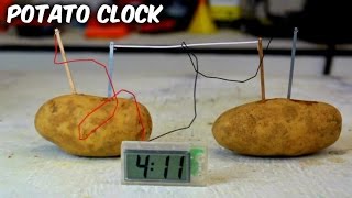 Potato Clock  Science Experiments [upl. by Aettam259]