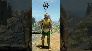 Oblivion vs Skyrim  Golden Saint Armor Comparison💥gaming skyrim games oblivion evolution tes [upl. by Reemas539]