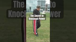 The Secret to Knockout Power [upl. by Dyol]