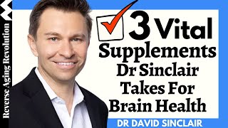 3 Vital Supplements Dr David Sinclair Takes For BRAIN HEALTH amp WHY [upl. by Ettenaej]