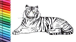 Drawing and Coloring a Tiger  How to Draw Wild Animals Color Pages for Children [upl. by Ennaj920]