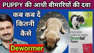 Drontal Puppy Wormer Suspension how to use  Best Deworming Syrup for puppy [upl. by Douglass]