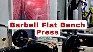 ازاي تلعب Barbell flat bench press صح ✅‼️💯 تصحيح اخطاء التمرين جيم fitness sports exercise [upl. by Atiek]