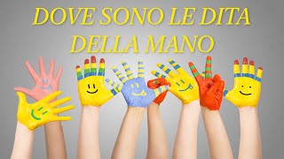 DOVE SONO LE DITA DELLA MANO canzone per bambini amysamu canzoniperbambini filastrocche [upl. by Iuqcaj131]