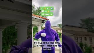 Felo Le Tee X Mellow amp Sleazy  Midnight Prayer  Amapiano Dance Challenge Tutorial amapiano [upl. by Adnovoj]