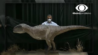 Fósseis de dinossauro são encontrados no interior de SP [upl. by Meakem]