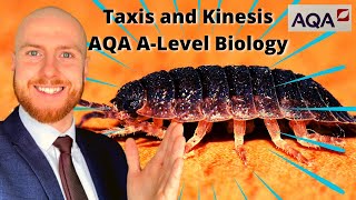 Taxis and Kinesis AQA ALevel Biology [upl. by Garceau]