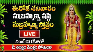 Live🔴  Sri Subramanya Stotram  Sri Subrahmanya Bhakthi Sudha  Murugan  SumanTV Interviews [upl. by Nyllaf982]