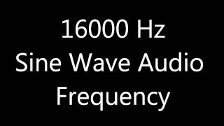 16000 Hz 16 kHz Sine Wave Sound Frequency Tone [upl. by Anotal250]