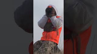 Spot and Stalking a Huge Mule Deer deerhunter deerhunting hunting [upl. by Narcissus]