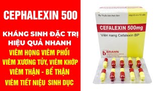 Cefalexin 500mg  Thuốc Cephalexin 500mg kháng Sinh Điều Trị Hiệu Quả Nhanh Một Số Bệnh Nhiễm Khuẩn [upl. by Ramal275]