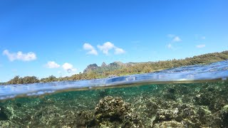 Anahola beach snorkel exploration I find an eagle ray and neat rock formations East side Kauai [upl. by Fidelis]