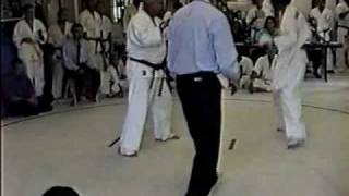 Ichiban Enshin Karate 2000 KO [upl. by Danell]