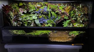 PALUDARIUM TUTORIAL  Step by step [upl. by Kirred620]