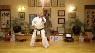 Okinawa Shorinryu Shidokan Karate do  Naihanshi Shodan [upl. by Cilegna]