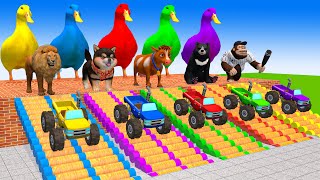 5 Giant Duck CartoonCowMammothBearLionWukongDog Paint Wild Animals Crossing Fountain Animation [upl. by Carpenter]