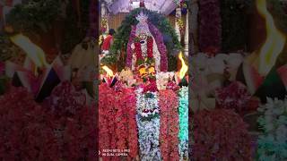 Ayyappa swamyaharathi kittuguruswamy Ayya bajanasongs wednesday keralahyderabadviralvideo [upl. by Ahsim]