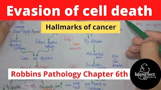 Evasion of Cell DeathCancer hallmarksRobbins Pathology chapter 6 lecturespathology neoplasia [upl. by Einneb]