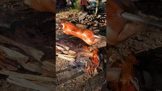 Lechon Baboy satisfayingsounds asmr cooking lechon asmrsounds shorts [upl. by Yornek]