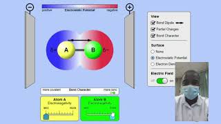 Molecule Polarity Simulation  Science Experiment  Virtual Lab Simulation [upl. by Yenoh]