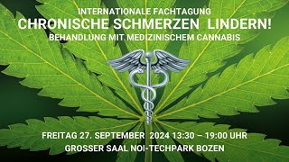 Chronische Schmerzen lindern  Behandlung mit Medizinischem Cannabis [upl. by Kirschner574]