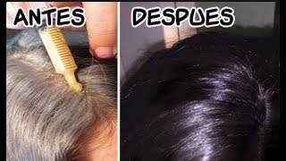 Cubre las CANAS con este REMEDIO NATURAL en casa ❤ Elimínalas Para Siempre [upl. by Emrich]