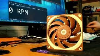 Noctua NFA12x25 PWM  Fan Noise [upl. by Aicram]