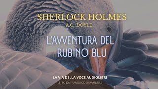 Sherlock Holmes Lavventura del Rubino Blu  AC Doyle  Audiolibro ITA [upl. by Annamaria877]