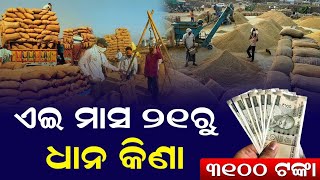 ଧାନ କିଣା ପ୍ରକ୍ରିୟା ନଭେମ୍ବର ୨୧ ରୁ Paddy procurement process from November 21 Paddy procurement price [upl. by Yalonda343]