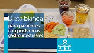 Dieta blanda para pacientes con problemas gastrointestinales [upl. by Gierc]