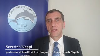 Promotore Mutualistico ma chi sei  Severino Nappi prof di Diritto del Lavoro UniNapoli [upl. by Hadihsar]